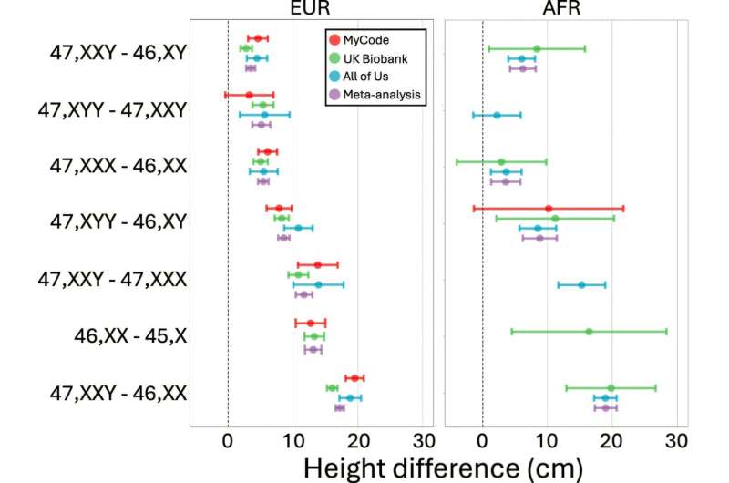 Height differences between sex chromosome complements across individuals of EUR and AFR ancestries. Credit: Proc. Natl. Acad. Sci. U.S.A. (2025). DOI: 10.1073/pnas.2503039122 Y chromosome makes men taller than women, finds a new study